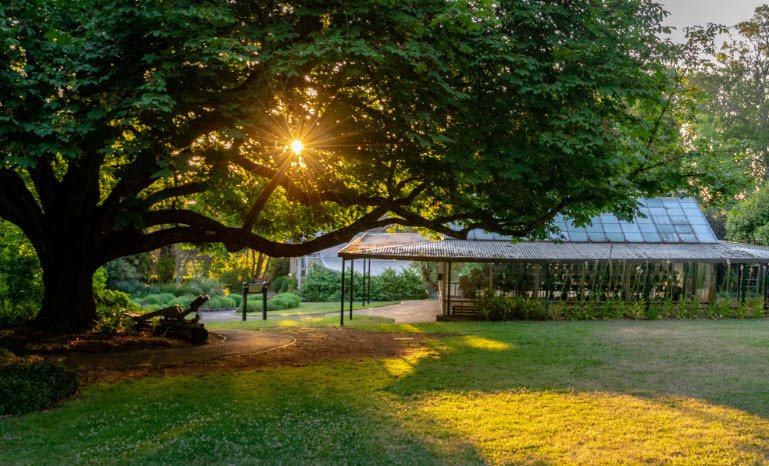 Wombat Hill Botanic Gardens, Australia